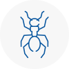 Ant Removals In Bridgwater