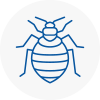 Bed Bug Extermination In Bridgwater