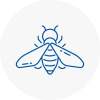 Bee Nest Removal Bridgwater