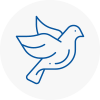 Bird Prevention Bridgwater