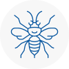 Bridgwater Hornet Nest Removals
