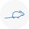 Mice Exterminators In Bridgwater