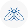 Moth Control Specialists In Bridgwater