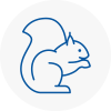 Bridgwater Rodent Removals